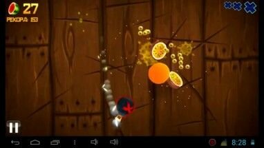 fruit-ninja-04