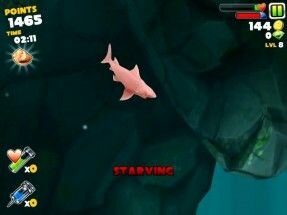 hungry-shark-evolution-02
